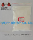 Chine Propionate cru composé stéroïde oral/injectable CAS 57-85-2 de poudre de testostérone distributeur 