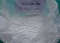 Chine Poudre crue saine juridique de testostérone d'Isocaproate sans effets secondaires 15262-86-9 distributeur 