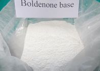 Chine Poudre crue pure Boldenone CAS composé stéroïde 846-48-0 de 98% Boldenone pour le Bodybuilder distributeur 