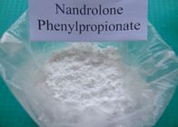 Chine Poudre stéroïde 62-90-8 de Nandrolone de Nandrolone de Phenylpropionate de Nandrolone distributeur 